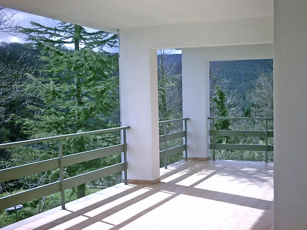 B&B Hollywood Olivadi Exterior foto